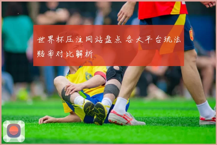 世界杯压注网站盘点 各大平台玩法赔率对比解析