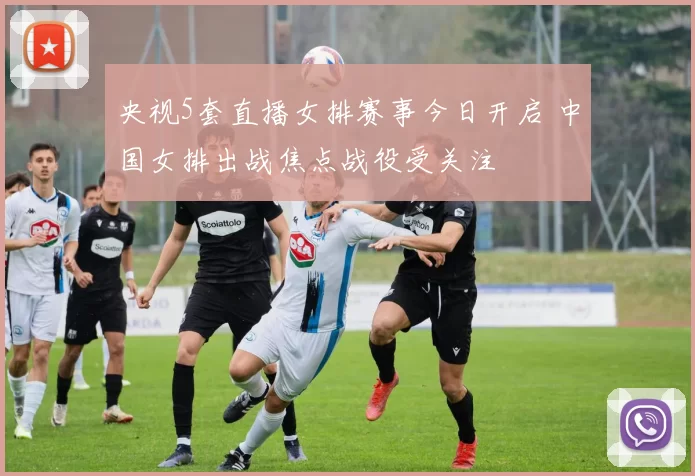 央视5套直播女排赛事今日开启 中国女排出战焦点战役受关注