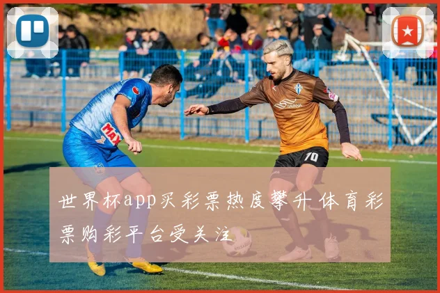 世界杯app买彩票热度攀升 体育彩票购彩平台受关注