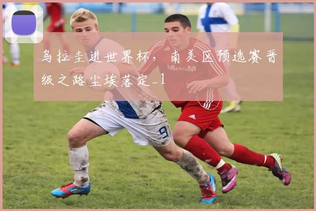 乌拉圭进世界杯,南美区预选赛晋级之路尘埃落定_1